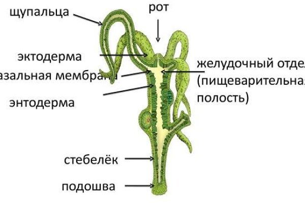 Украли аккаунт на кракене