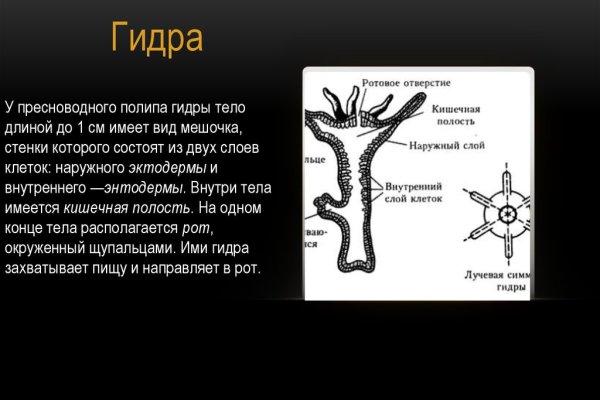 Кракен пользователь не найден что делать