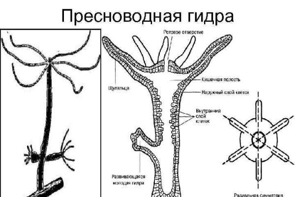 Кракен нарка шоп