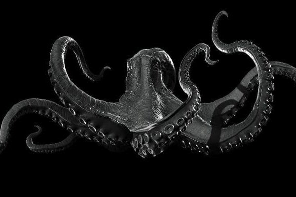 Kraken